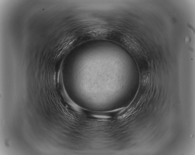 X0000098161108200804171552