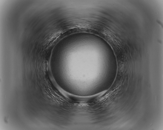 X0000098161110200804171552