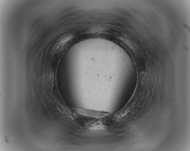 X0000098161111200804171552