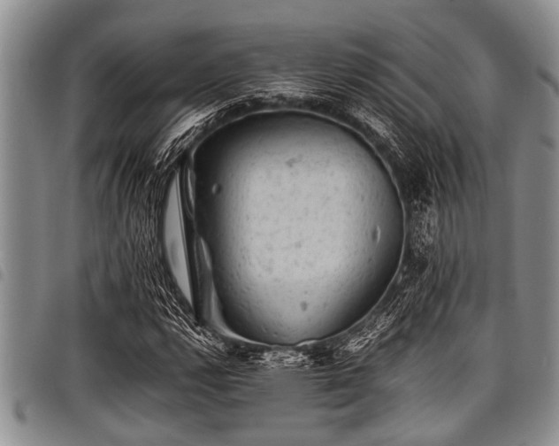 X0000098161112200804171552