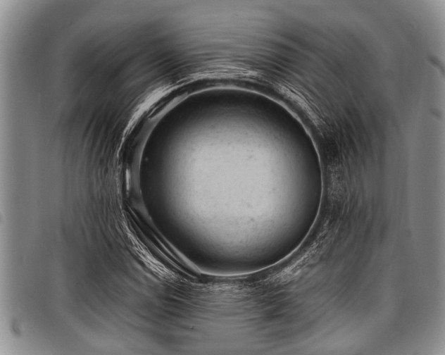 X0000098161114200804171552