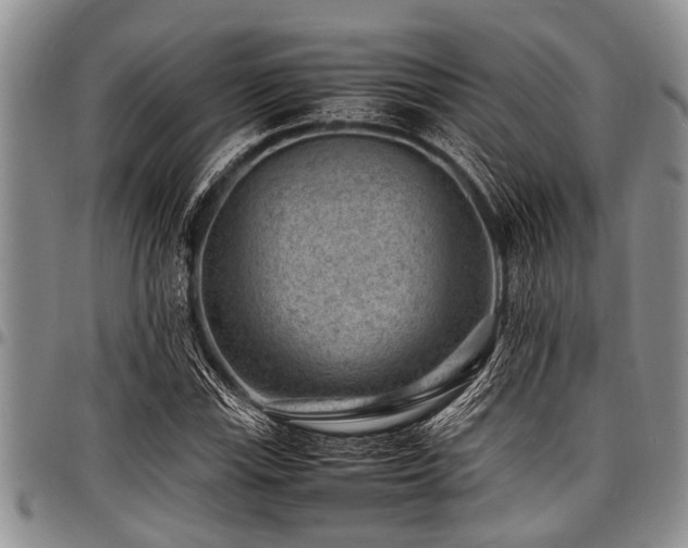 X0000098161115200804171552