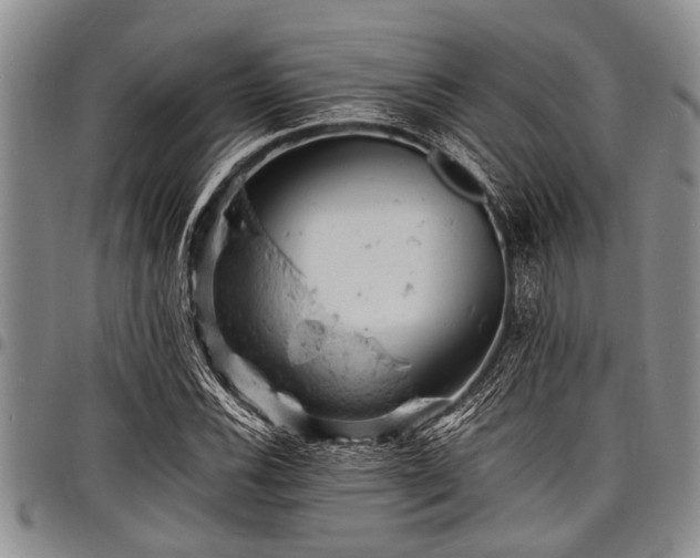 X0000098161116200804171552