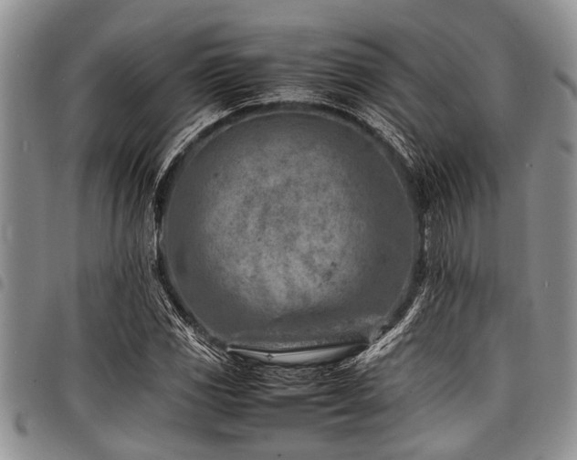 X0000098161117200804171552