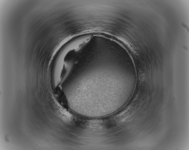 X0000098161118200804171552