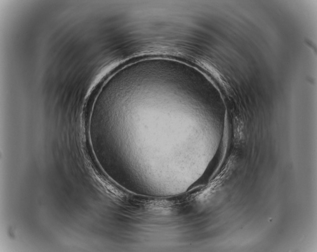 X0000098161120200804171552