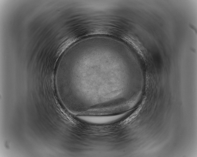 X0000098161121200804171552