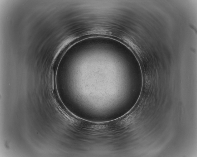 X0000098161123200804171552