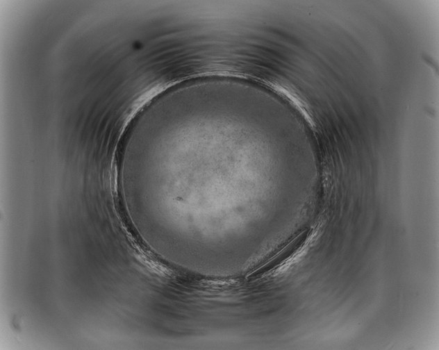 X0000098161125200804171552