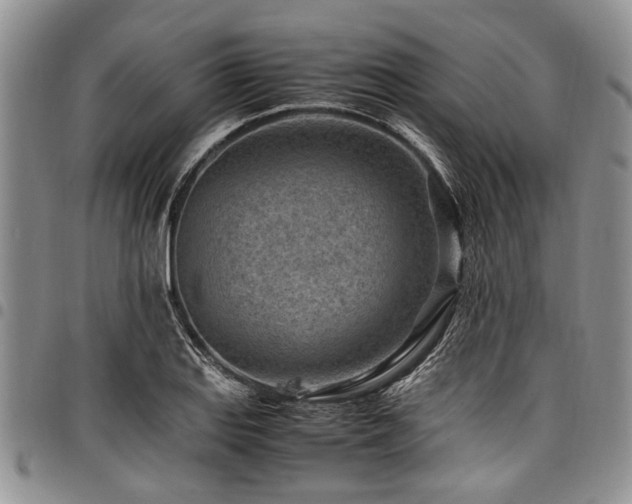 X0000098161127200804171552