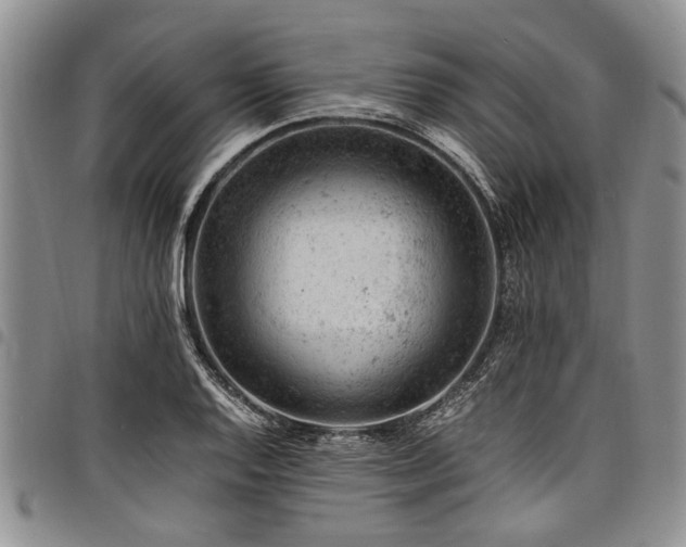 X0000098161128200804171552