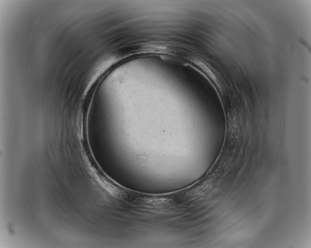 X0000098161131200804171552