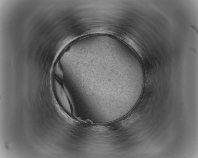 X0000098161132200804171552