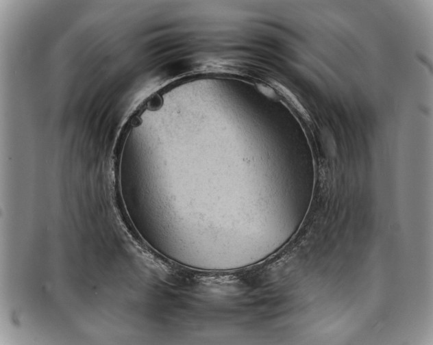 X0000098161133200804171552