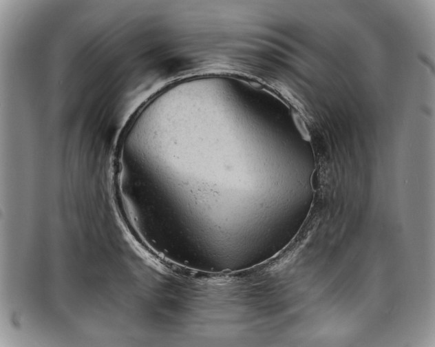 X0000098161134200804171552