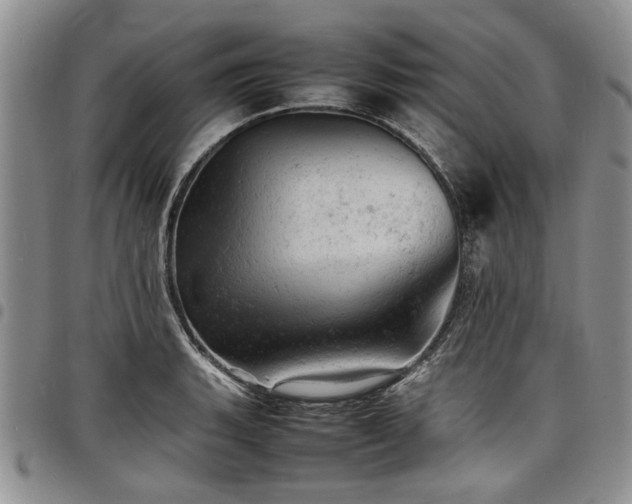 X0000098161135200804171552