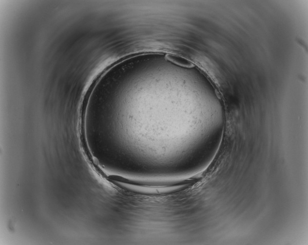 X0000098161136200804171552