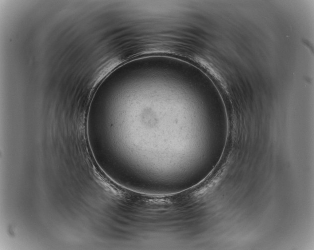 X0000098161137200804171552