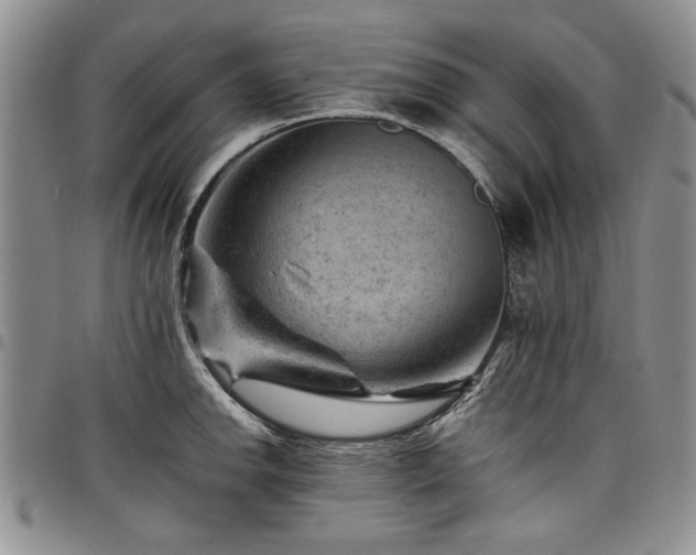 X0000098161142200804171552