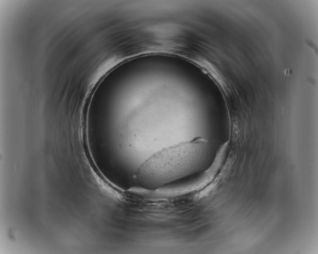 X0000098161143200804171552