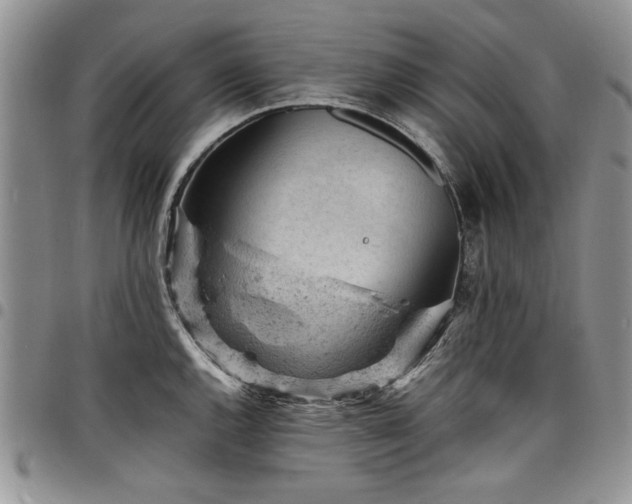 X0000098161144200804171552
