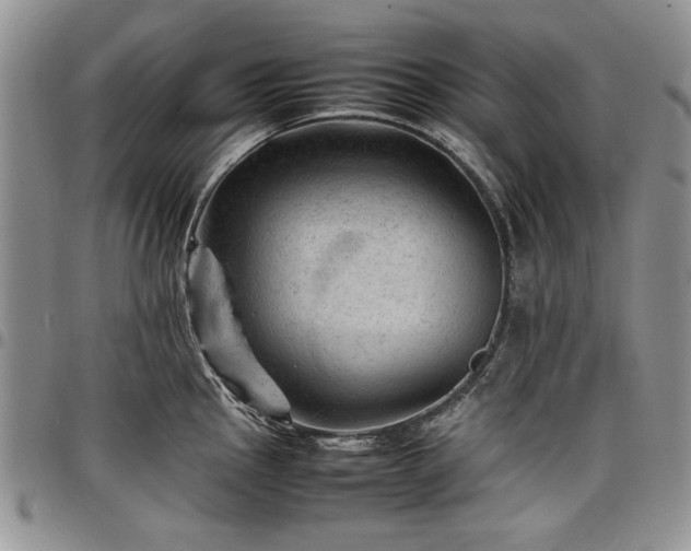 X0000098161145200804171552