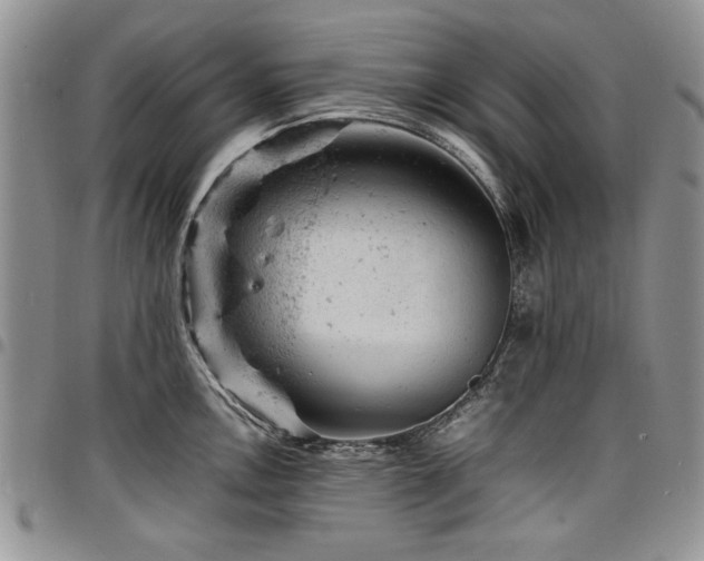 X0000098161146200804171552