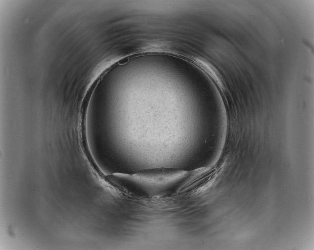 X0000098161149200804171552