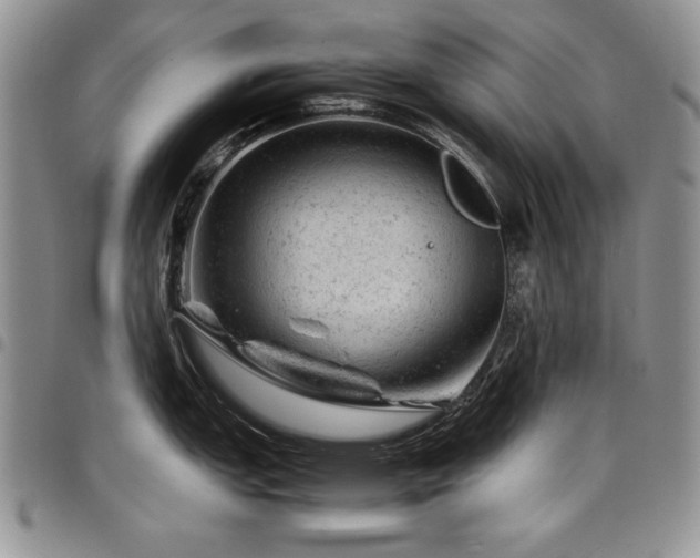 X0000098161151200804171552