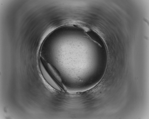 X0000098161152200804171552