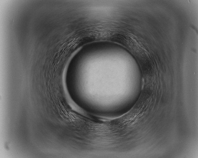 X0000098161153200804171552