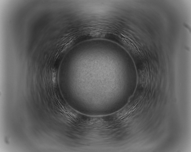 X0000098161154200804171552