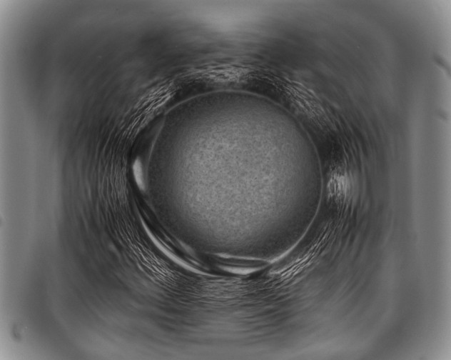 X0000098161156200804171552