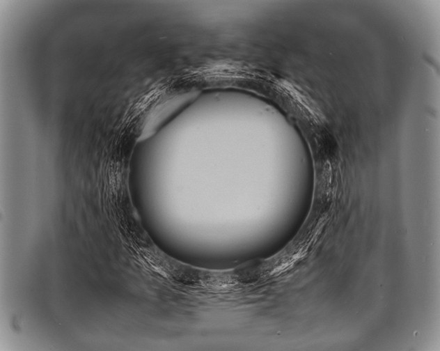 X0000098161157200804171552