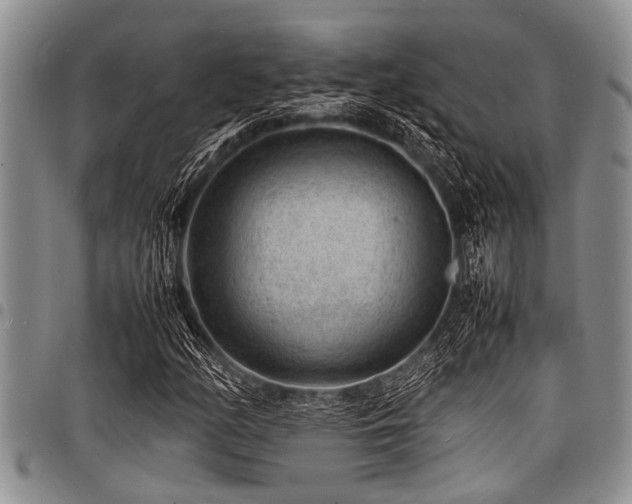 X0000098161158200804171552