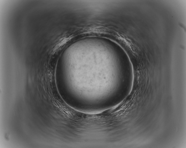 X0000098161159200804171552