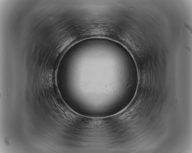 X0000098161162200804171552
