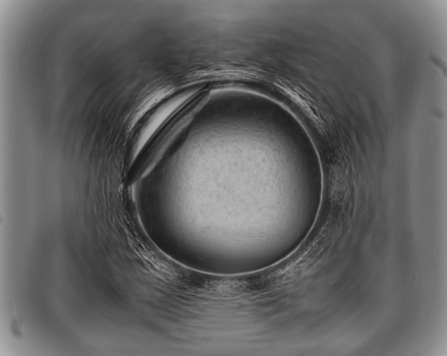 X0000098161163200804171552