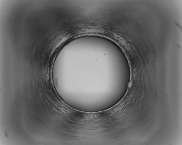X0000098161165200804171552