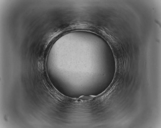 X0000098161166200804171552