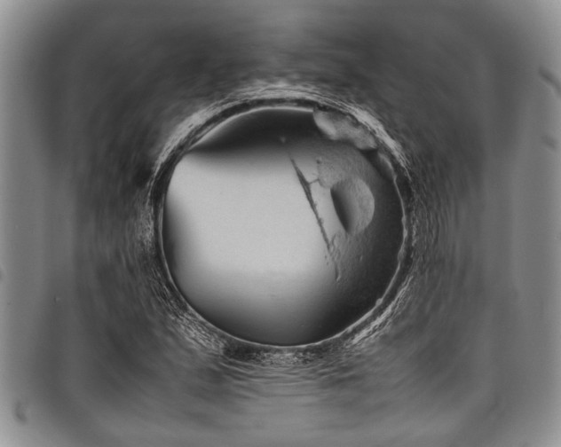 X0000098161167200804171552