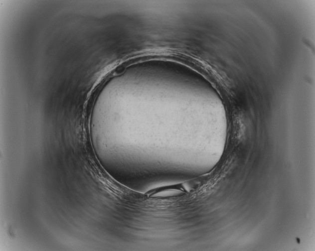 X0000098161168200804171552