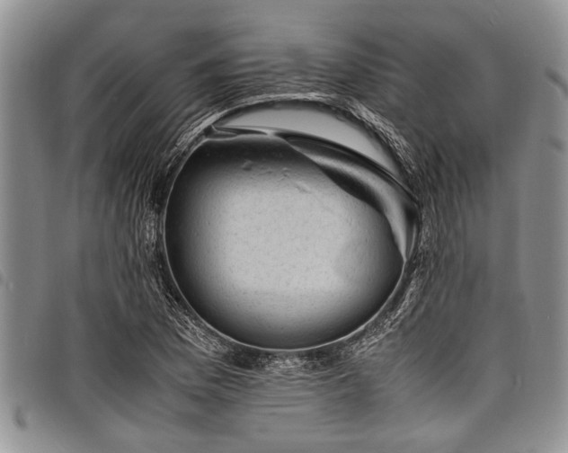 X0000098161169200804171552