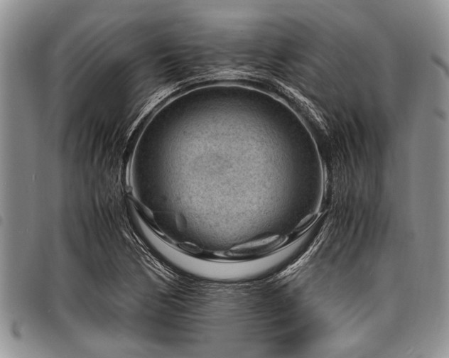 X0000098161170200804171552