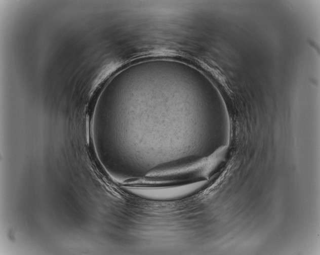 X0000098161171200804171552