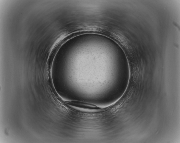 X0000098161172200804171552