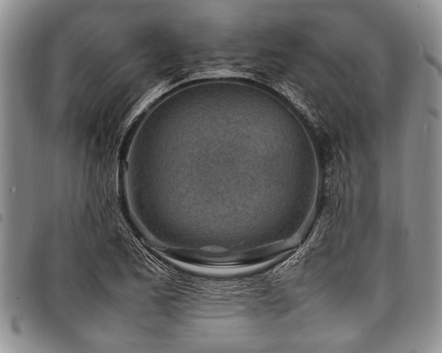 X0000098161173200804171551