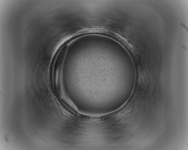 X0000098161174200804171551