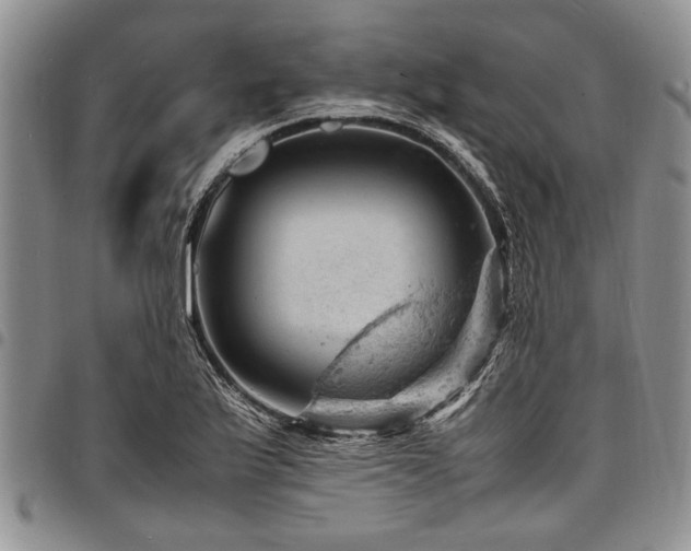 X0000098161175200804171551