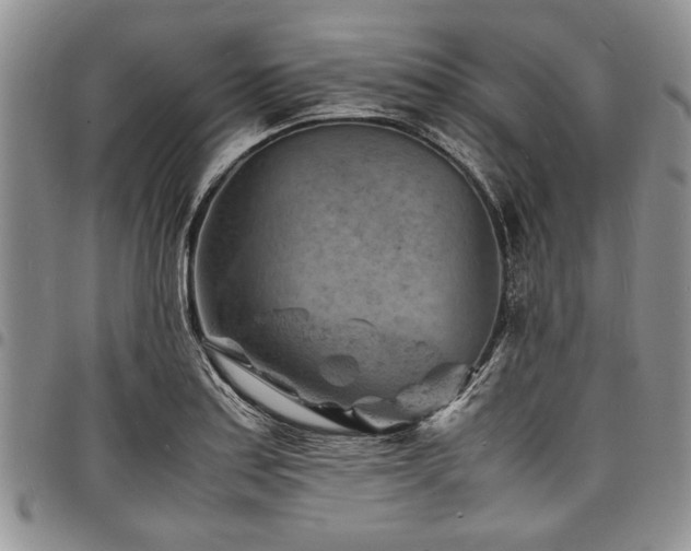 X0000098161179200804171551